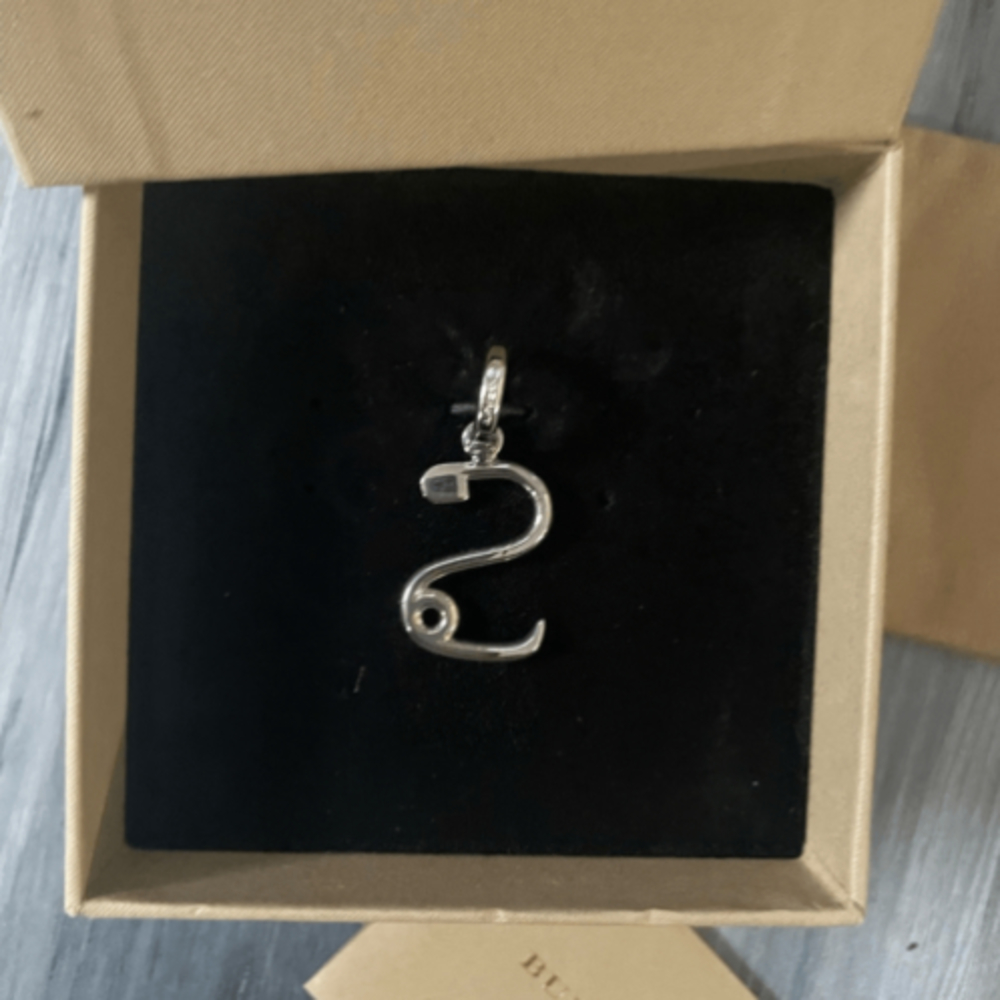 Burberry Charm